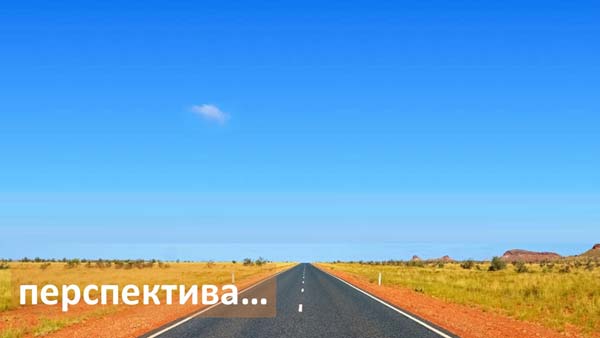 Структура вторичного рынка запчастей 2021 AGORA MIMS Automechanika.  Аналитика на zeleznogorsk.win-sto.ru